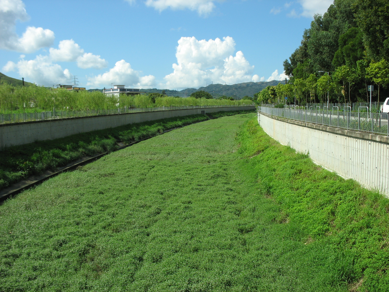 Re-provisioning of David Trench Rehabilitation Centre